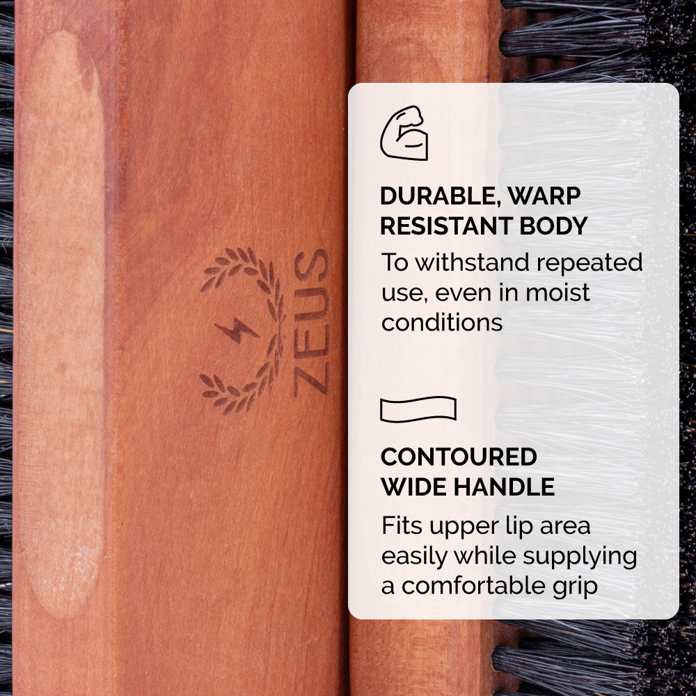 Zeus Palm Beard Brush Body