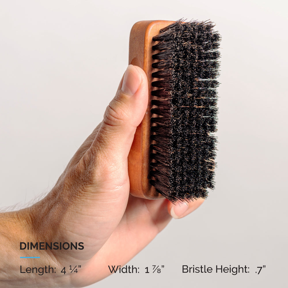 Zeus Palm Beard Brush Size