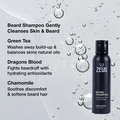 Beard Shampoo + Conditioner Set, 4 fl oz