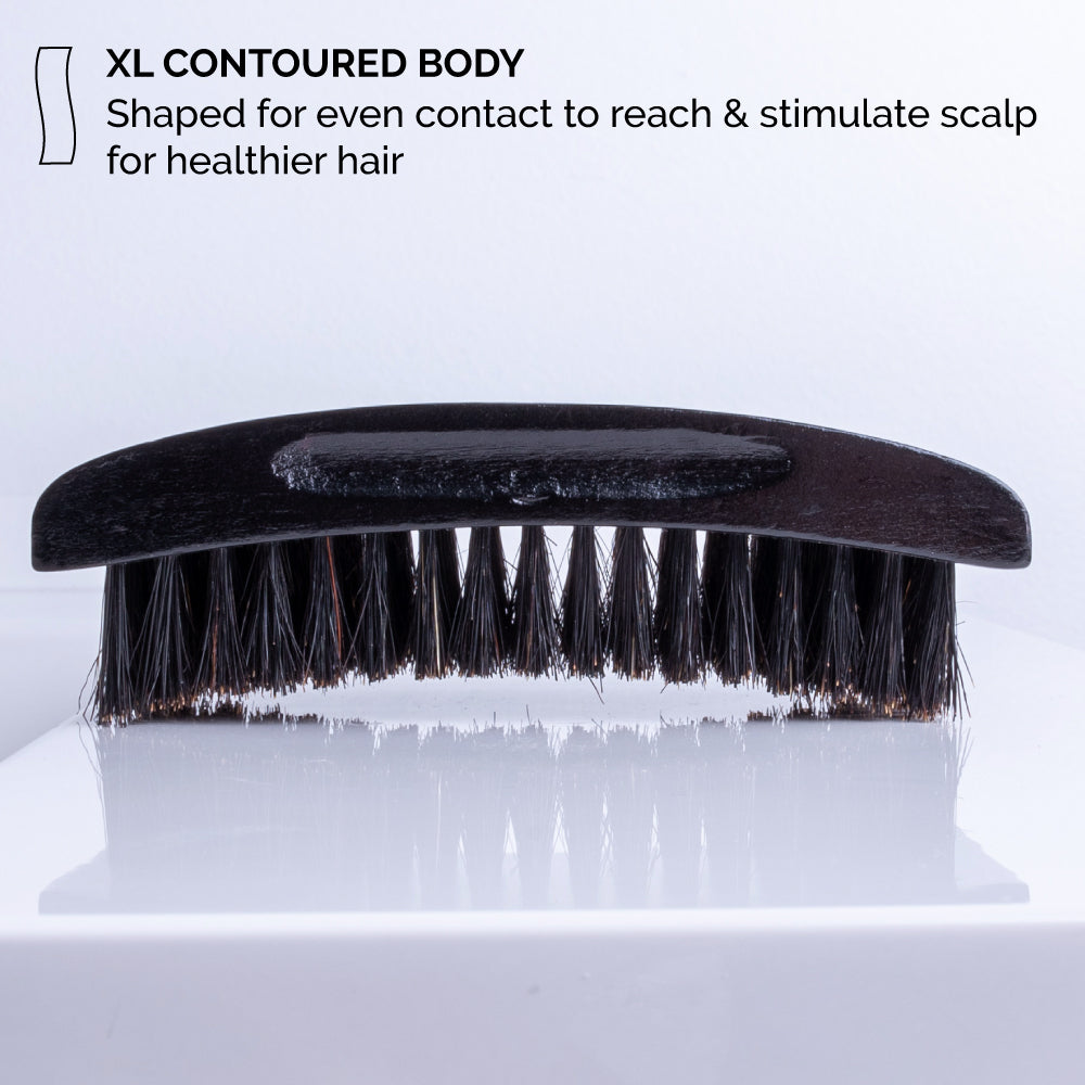 zeus palm hair brush beech wood boar bristle bp92 body