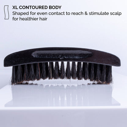 zeus palm hair brush beech wood boar bristle bp92 body