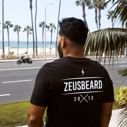 Model wearing zeus graphic tee at the beach